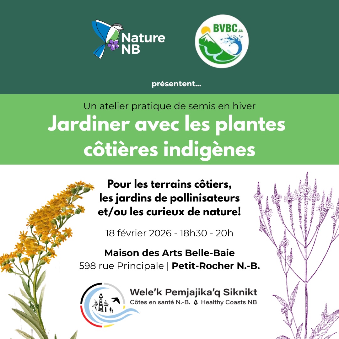 Jardiner avec les plantes côtières indigènes : atelier de semis d'hiver